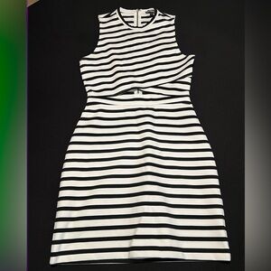 Express Striped Dress